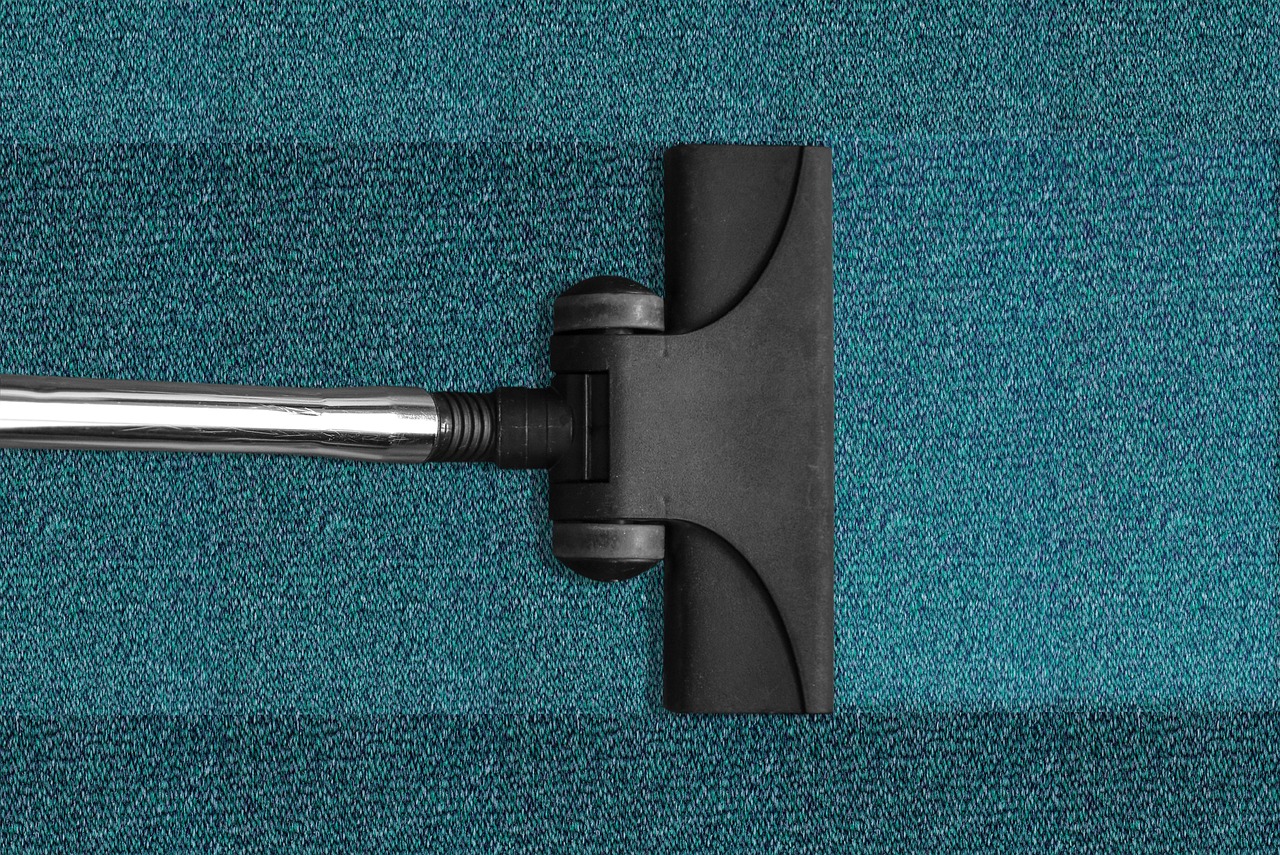 carpet cleaning professional